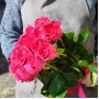 Букет из 15 розовых роз
